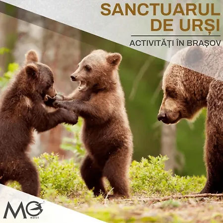 Mountain View Sky 2Br Apartament- 10Th Floor Luxury Brașov