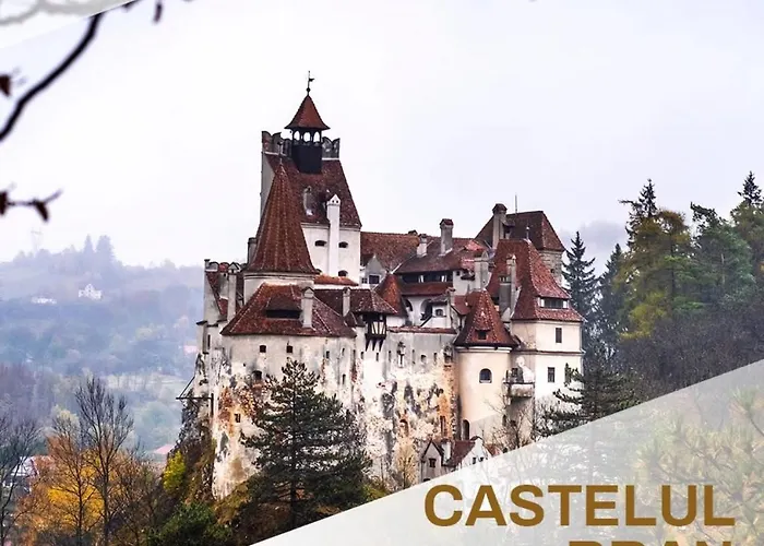 Mohost View- Mountain View - Large Balcony - 10th Floor * 布拉索夫